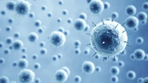 Bacterias y virus que provocan diarrea