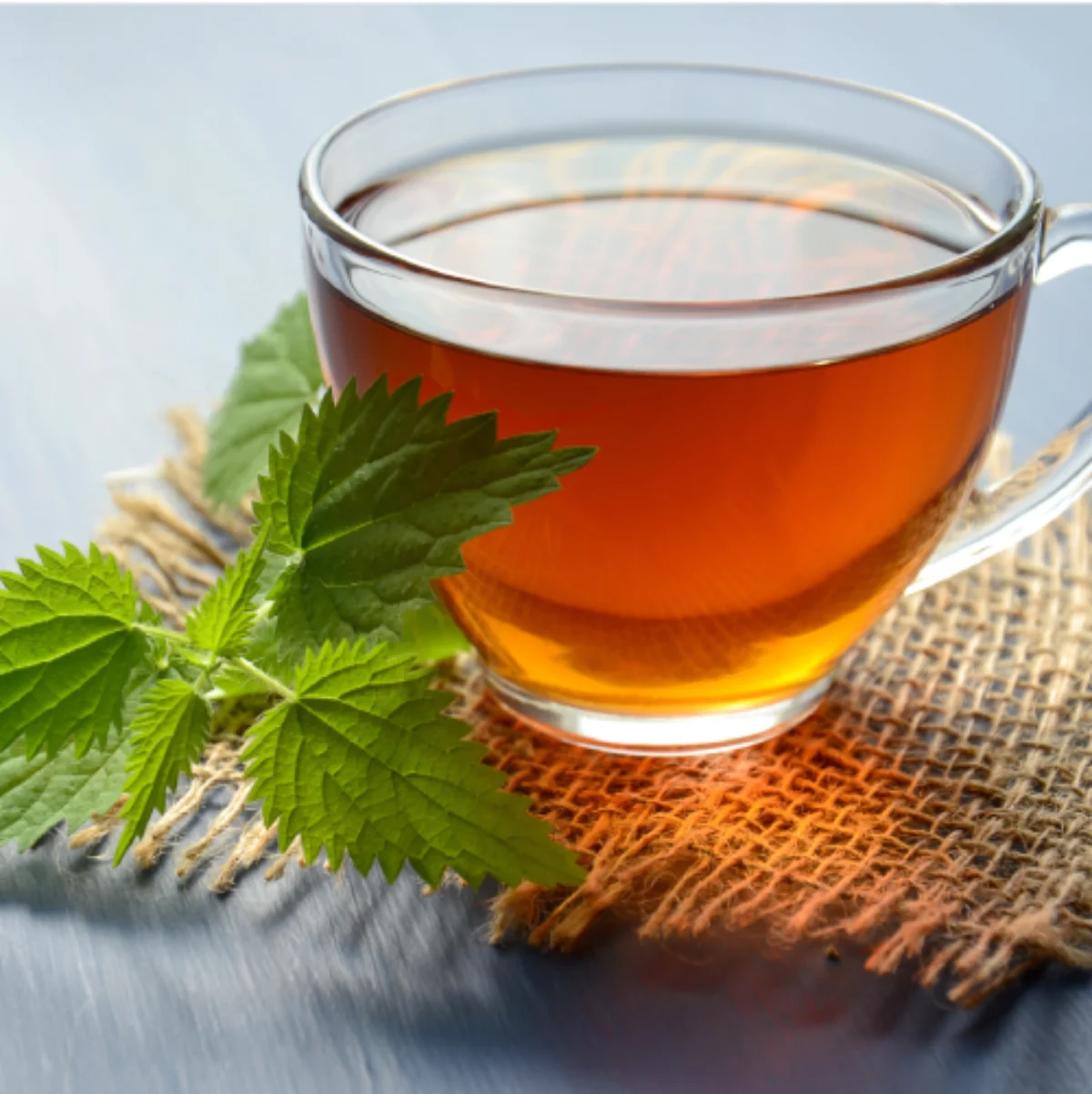 Té Infusión caliente